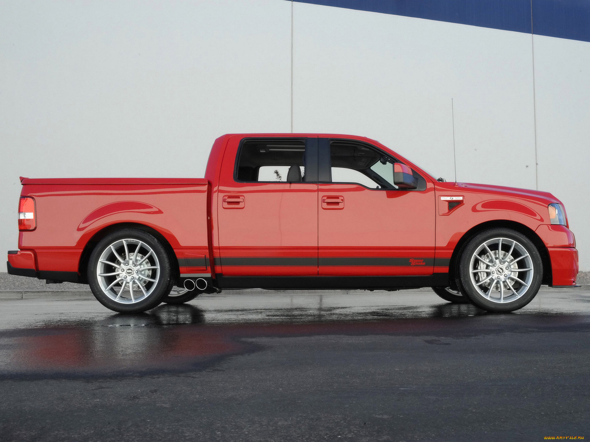 shelby f-150 super snake concept 2009, , ford, shelby, f-150, super, snake, concept, 2009
